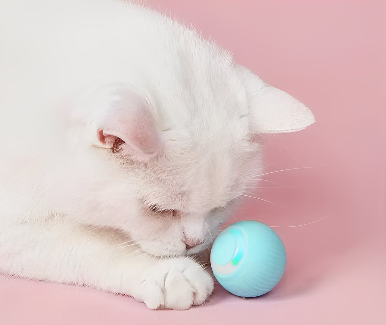 SmartBall: La Pelota Inteligente para Gatos