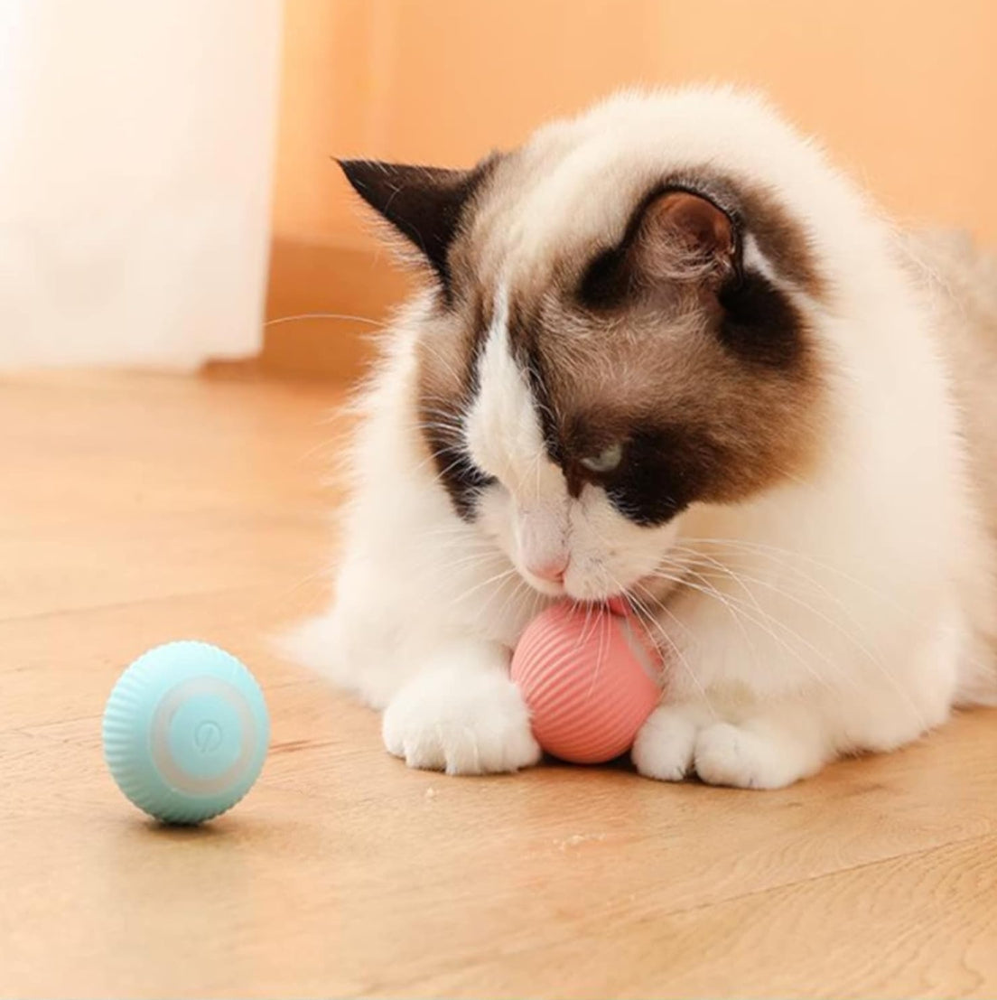 SmartBall: La Pelota Inteligente para Gatos