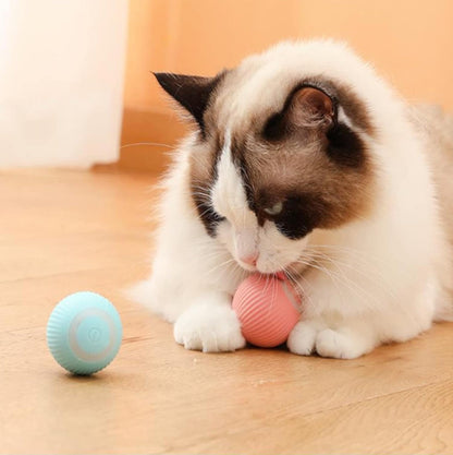 SmartBall: La Pelota Inteligente para Gatos